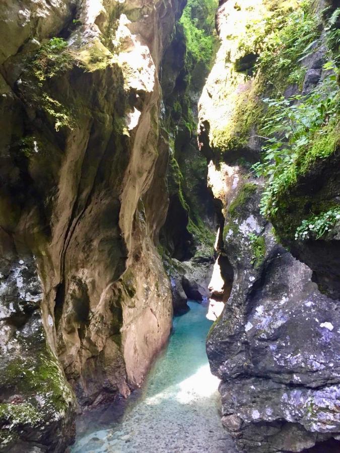 Encijan Apartments Log pod Mangartom Dış mekan fotoğraf